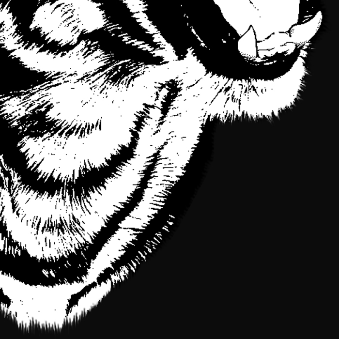 Witchtiger t-shirt 2013